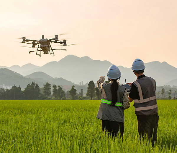 Drone