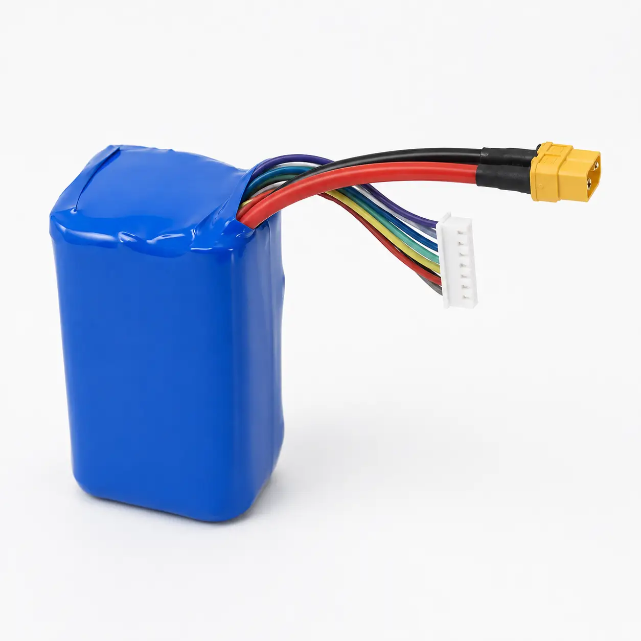 6 6S1P Molicel P42A 6S1P Packs